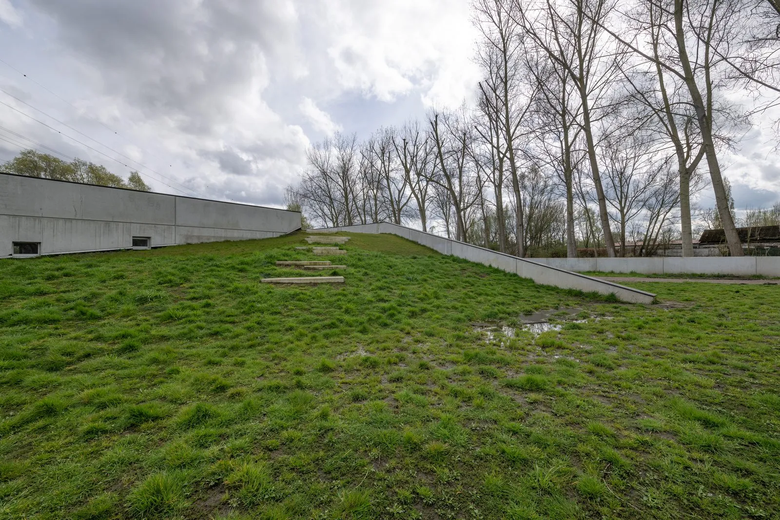 Het begroeide dak van onze lokalen, dat als een grasheuvel oploopt vanaf het veld