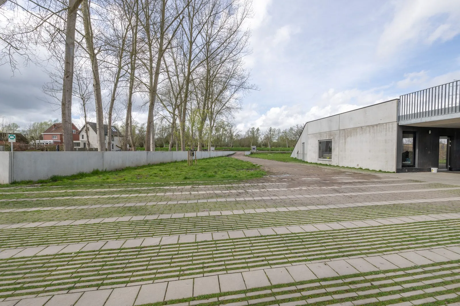 Dezelfde koer gezien vanaf het veld, met populieren langs de rand en het gebouw erachter